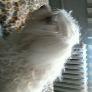 Meet your Posher, Lynda